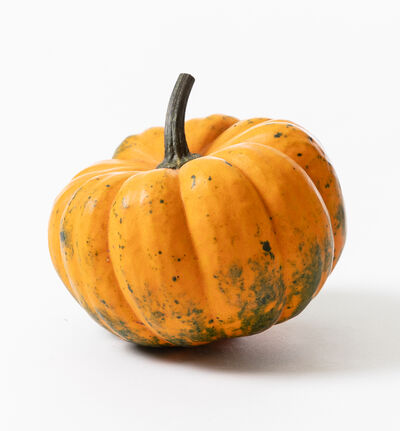 Pyntegresskar oransje Orange Boo Pyntegresskar oransje Orange Boo